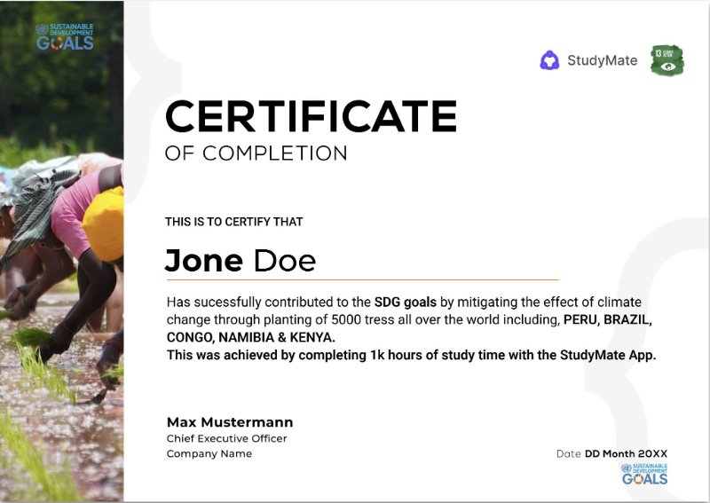 Study Mate Sustainability Impact